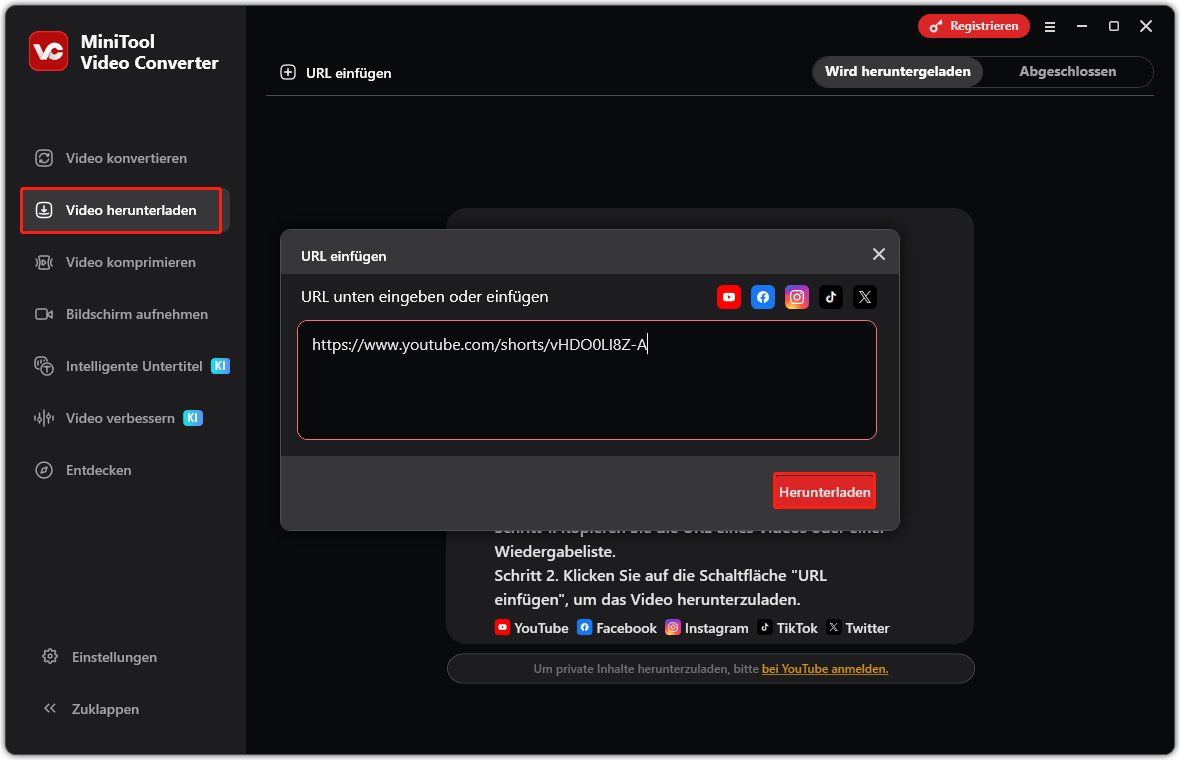 Die URL des Videos in der Schnittstelle von der Funktion Video herunterladen in MiniTool Video Converter einfügen.