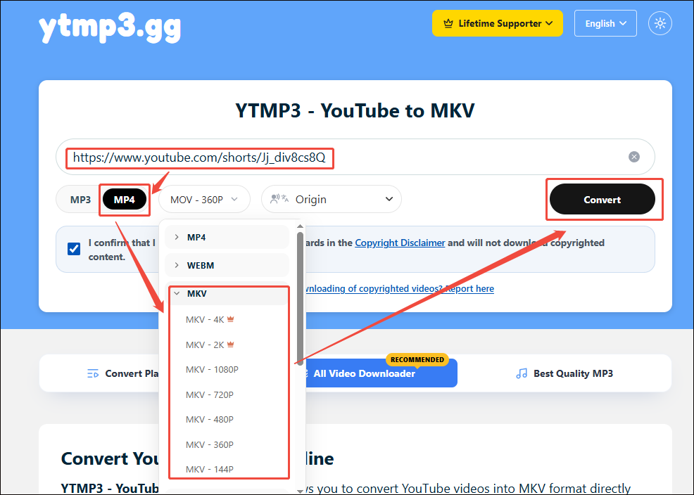 ttmp3 gg interface that shows how to accomplish the YouTube to MKV conversion.