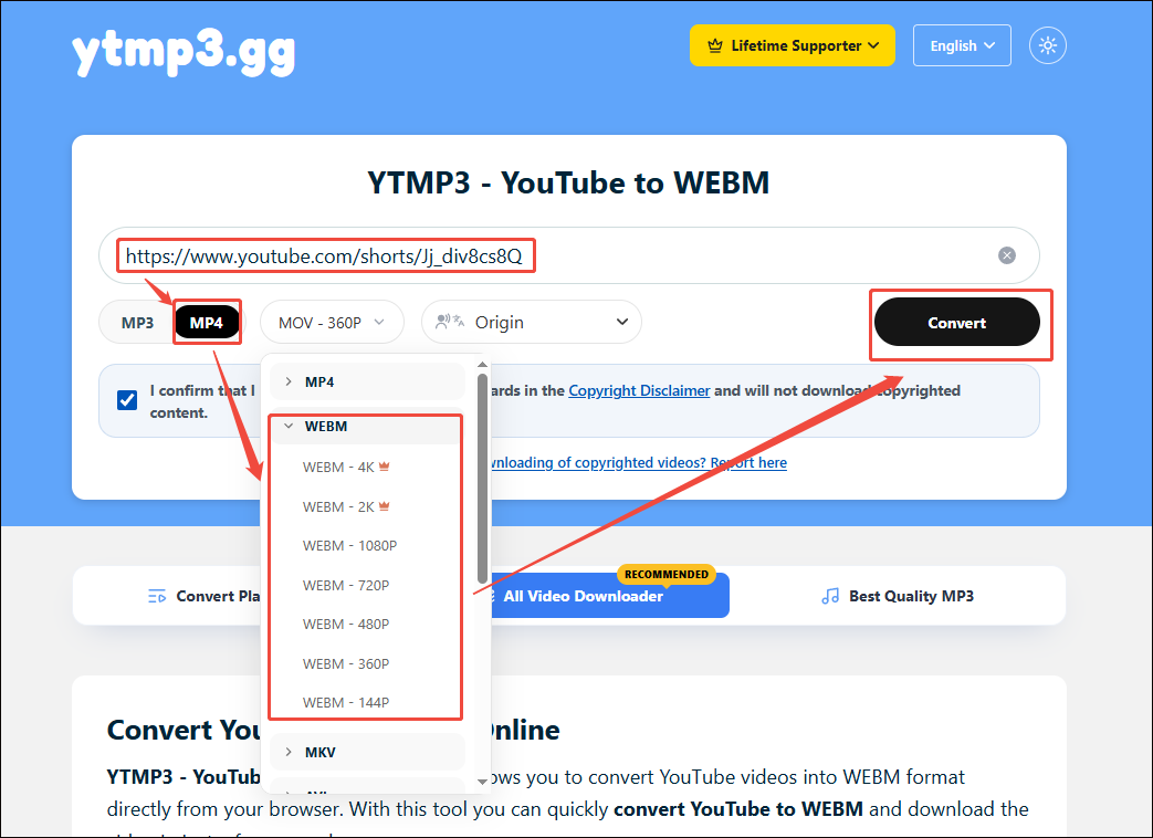 ttmp3 gg interface that shows how to accomplish the YouTube to WebM conversion.