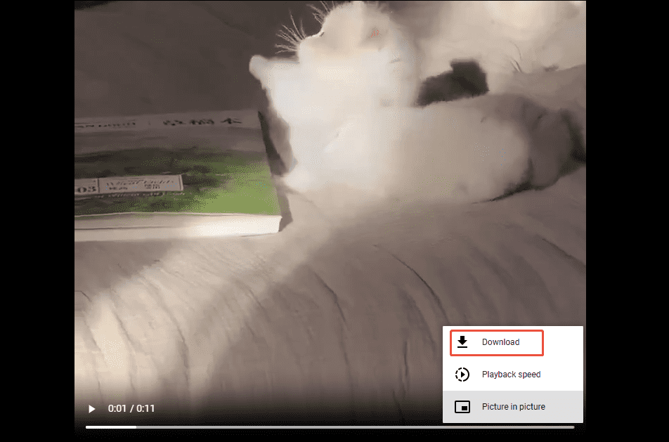 Online Video Downloader interface with the Download option selected to start the download process.