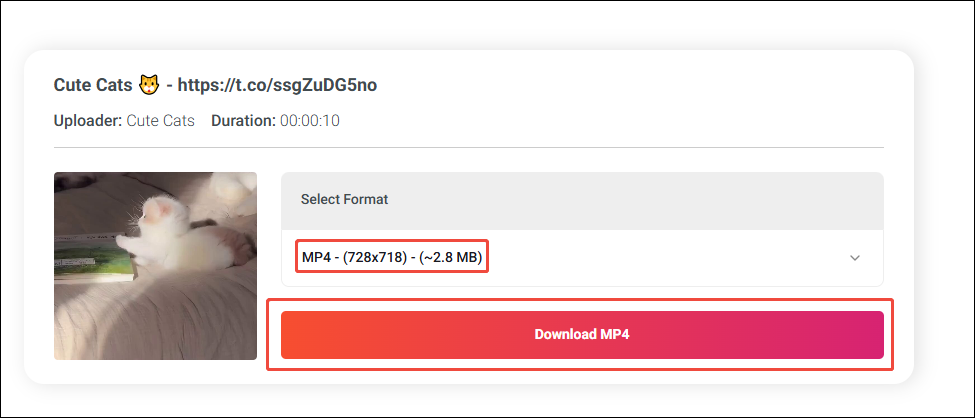 Online Video Downloader interface that shows how to analyze the URL.