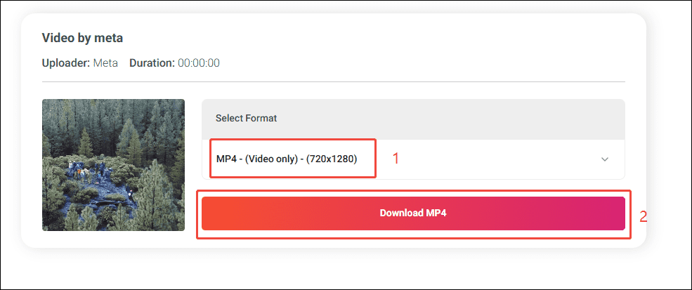 Online Video Downloader interface that shows how to choose the desired video resolution.