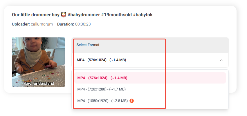 Online Video Downloader interface with the Select Format option expanded.