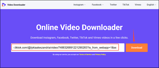 viddown.net interface showing how to analyze a TikTok video link.