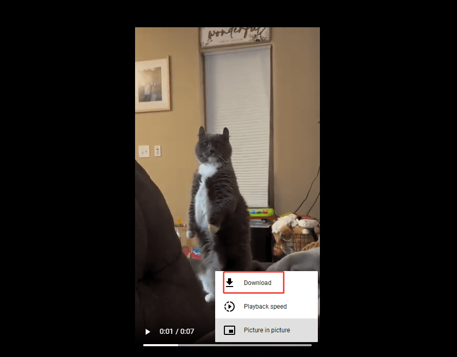 Online Video Downloader video playback interface with the Download option selected.