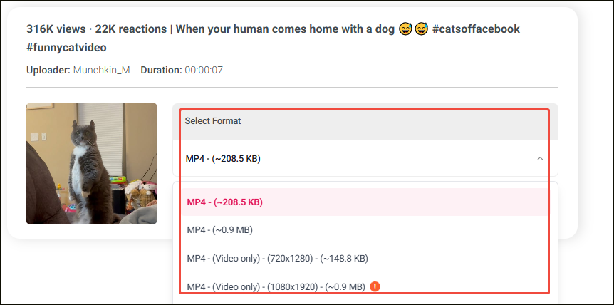 Online Video Downloader interface with the Select Format option expanded.