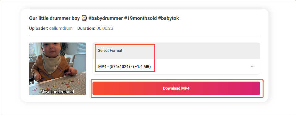 Online Video Downloader interface with a download format and the Download MP4 option selected.
