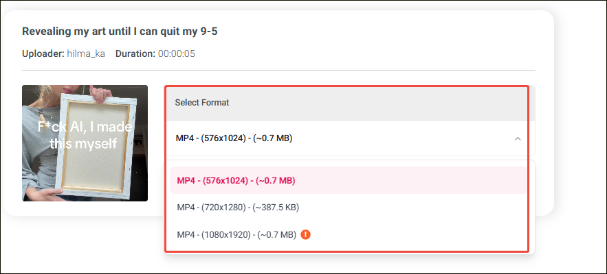 Online Video Downloader interface with the Select Format option expanded.
